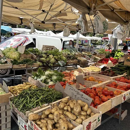 Sr030-508 Appt Mezzanine 4 Personnes St Raphael