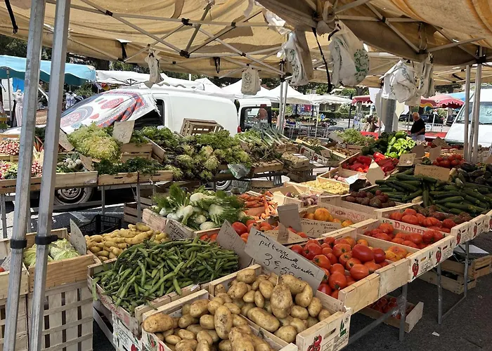 Sr030-508 Appt Mezzanine 4 Personnes St Raphael